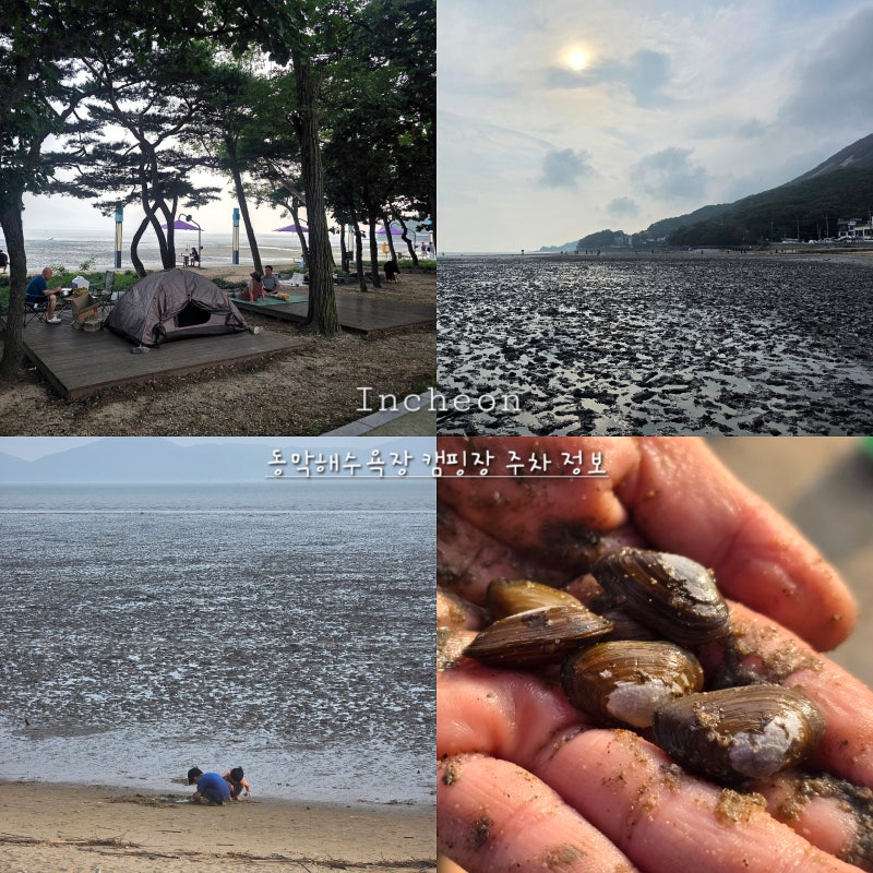 강화도 동막해수욕장 캠핑 주차 정보 동막해변 야영장