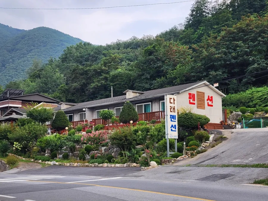 다래펜션 사진 2