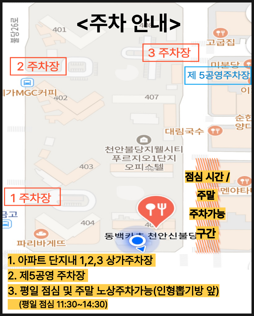 동백 사진 3