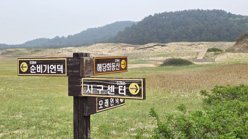 서해랑길 70코스 사진 3