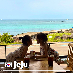 제주 함덕 오션뷰 카페 애견동반도 가능한 오션컬러 내돈내산