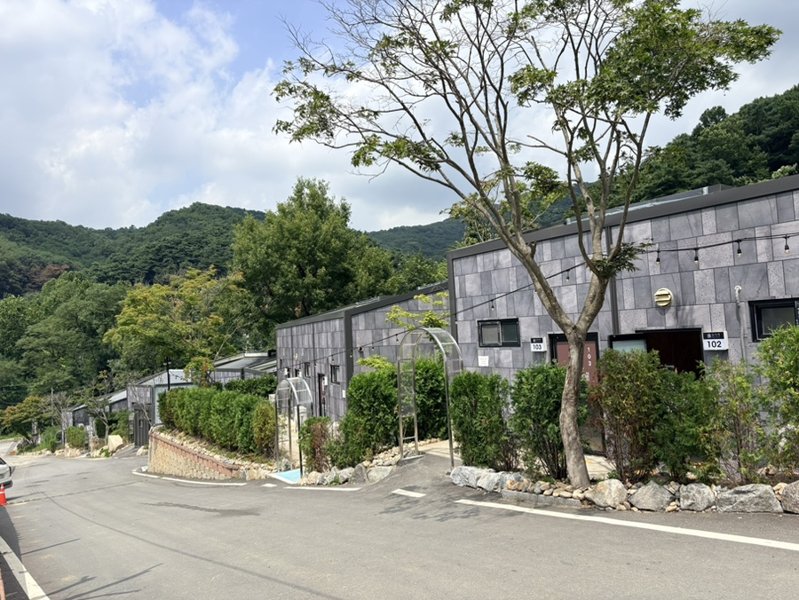 숲속애 사진 2
