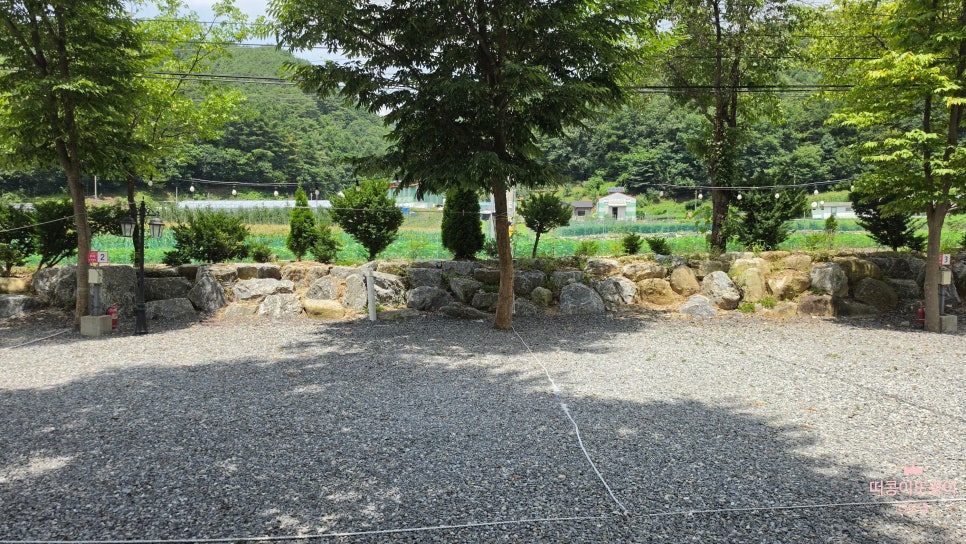 명암539펜션 사진 5