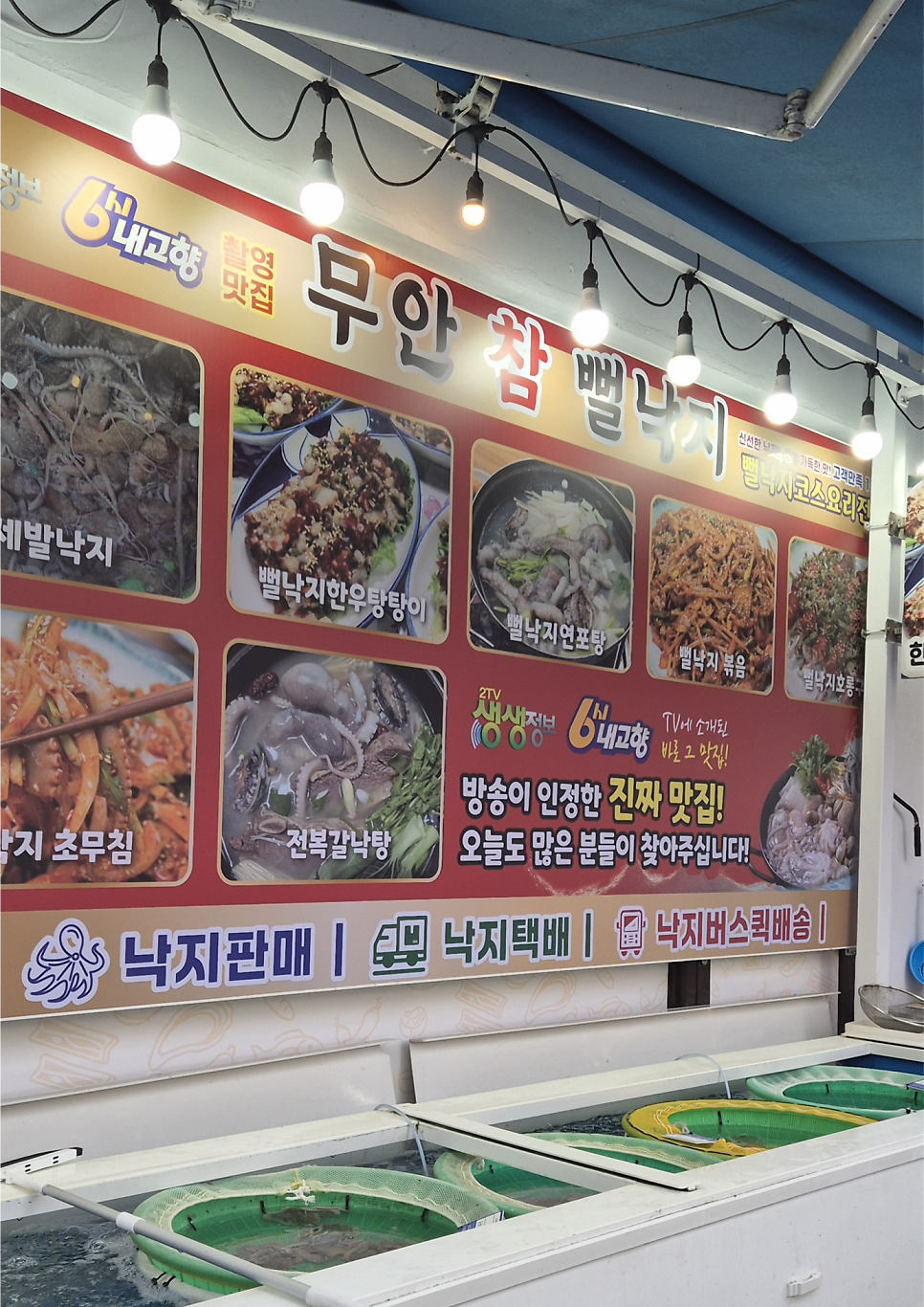 무안참뻘낙지 사진 2
