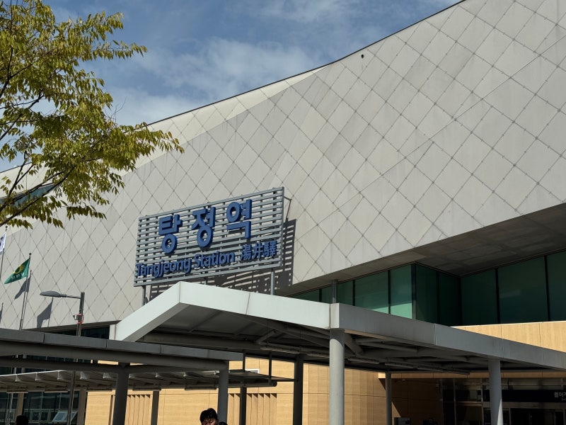 탕정 마운자로 처방병원(저렴)