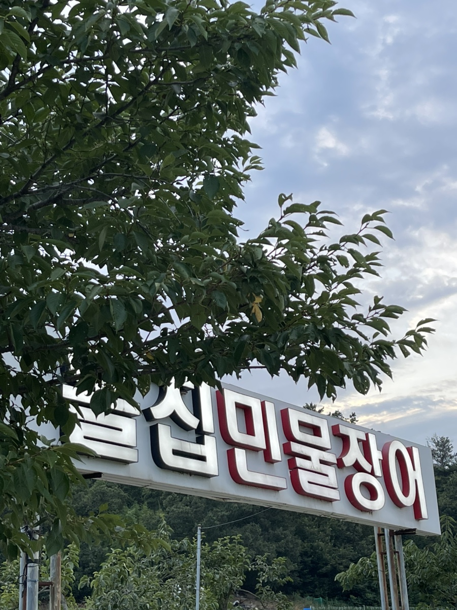 돌집민물장어 사진 1