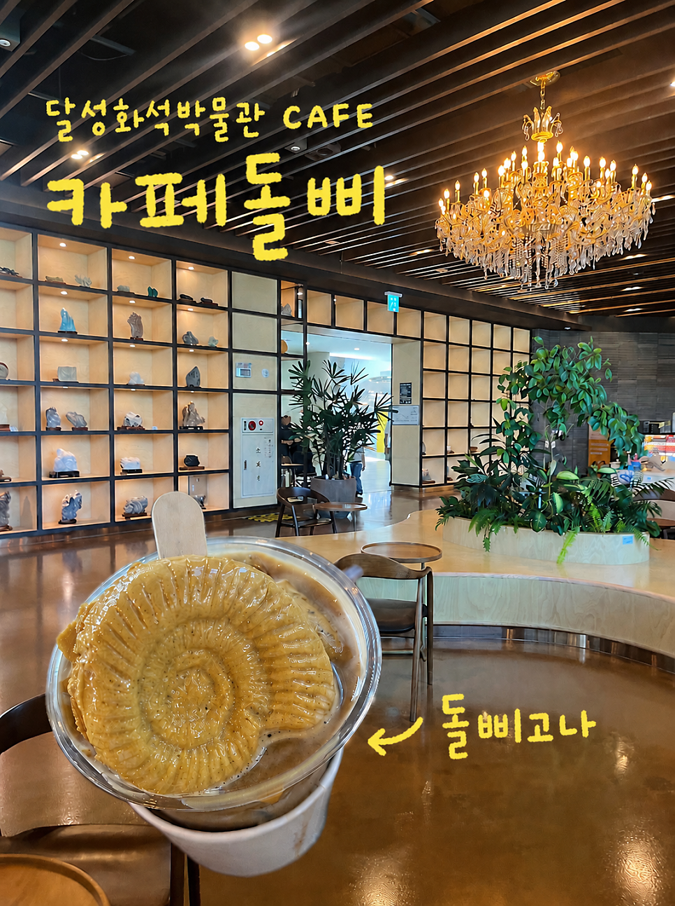 카페돌삐 사진 1