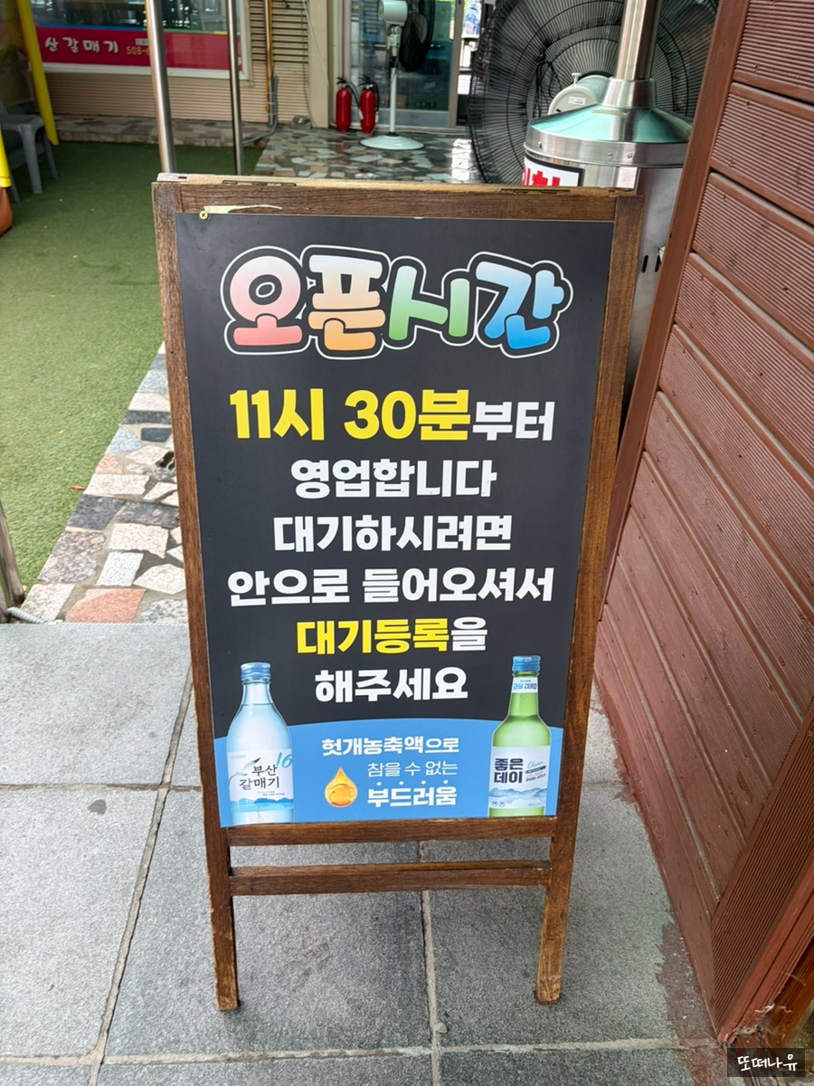 부산갈매기 사진 4