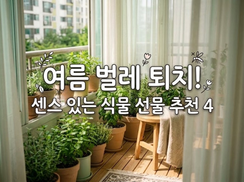 여름철 해충 걱정 끝! 벌레 퇴치에 좋은 천연 허브 식물4가지 (식물 선물 추천)