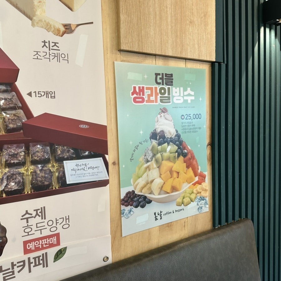 봄날 사진 6