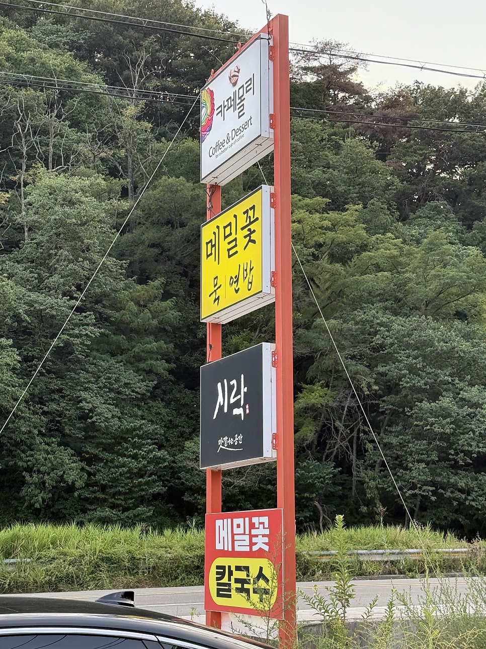 메밀꽃 사진 2