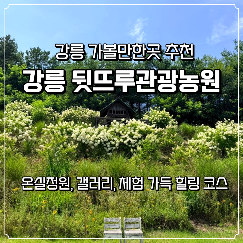[강릉가볼만한곳] 4000평 힐링 스팟 뒷뜨루관광농원 강릉 가족여행 추천