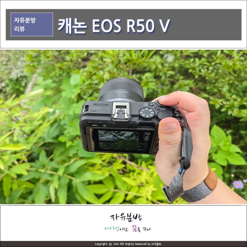 여름 휴가 브이로그 카메라 찾는다면? 캐논 미러리스 EOS R50 V 추천 이유