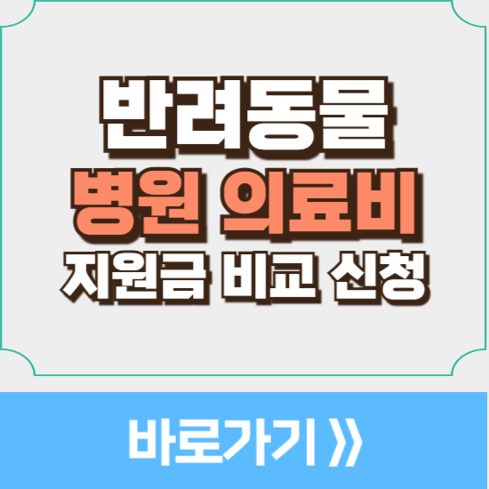 선 동물병원 사진