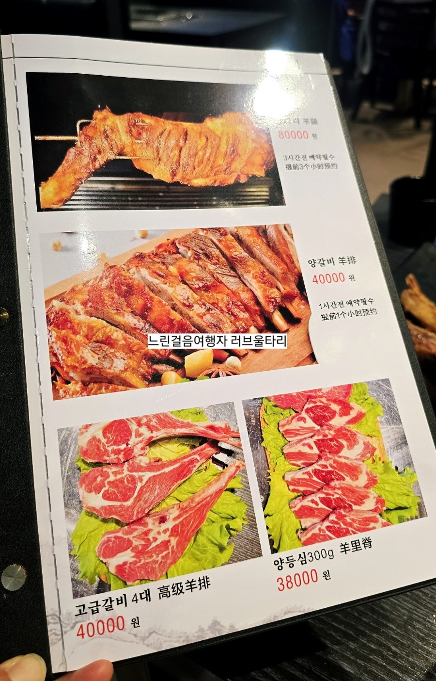 양한마리 사진 3