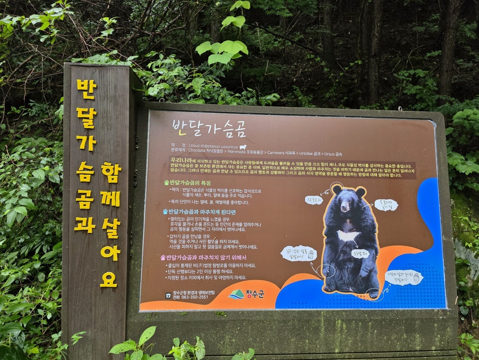 남덕유산 사진 3