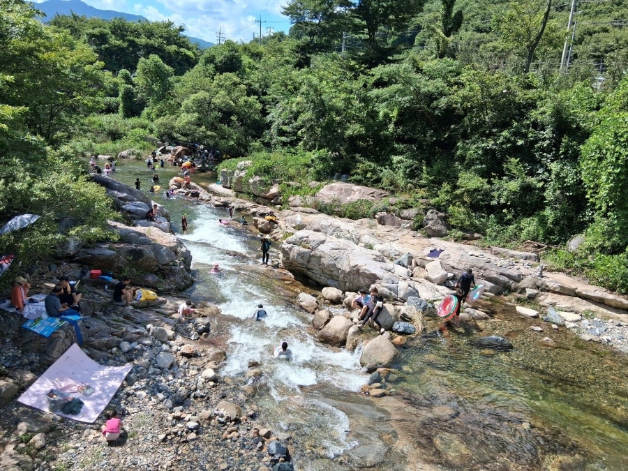 가지산도립공원 사진 6