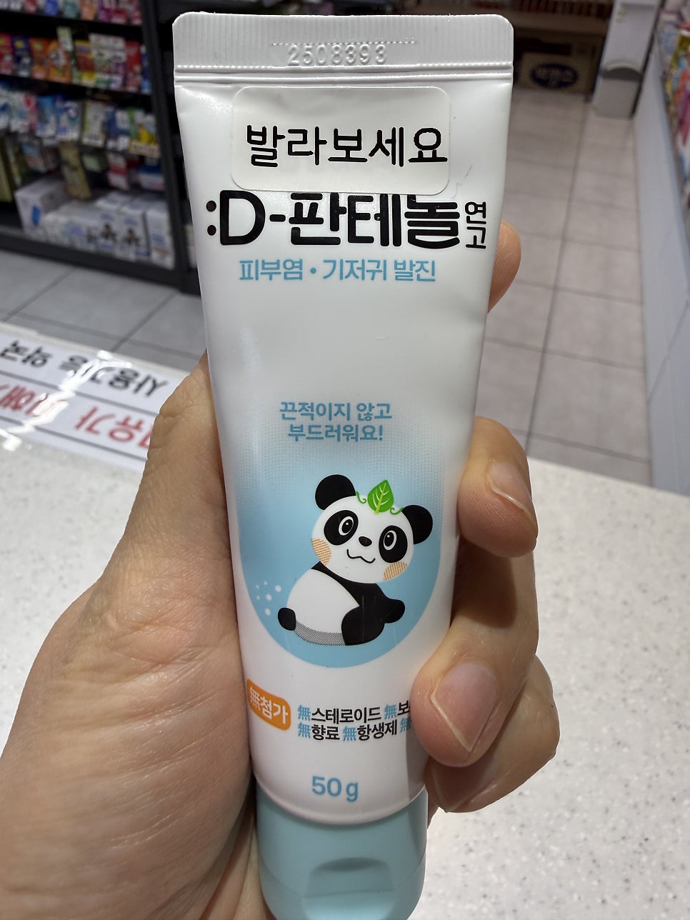 민들레 사진 4