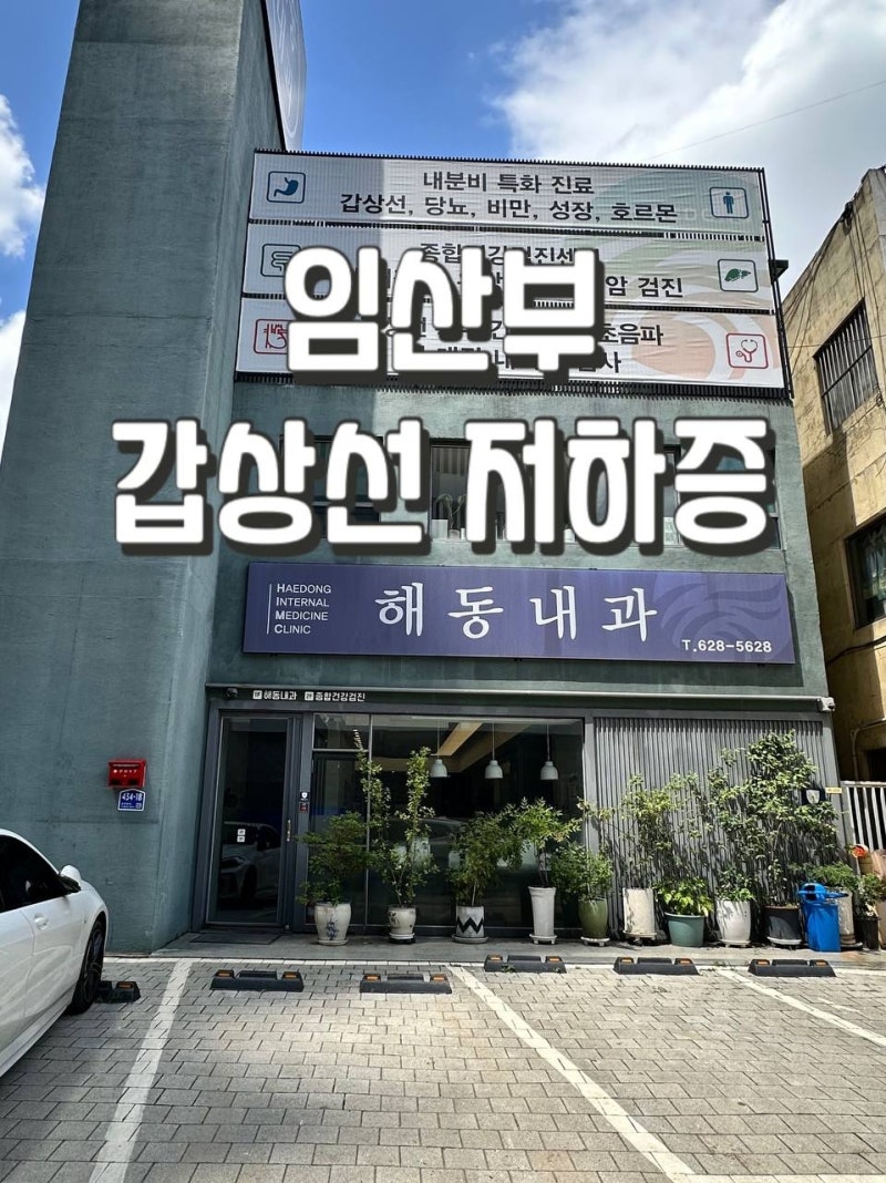 [임신 30주] 임신 중 갑상선 기능저하증 수치 관리 & 약 복용법 (대구 해동내과 후기)