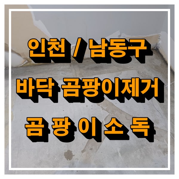 인천 남동구 바닥곰팡이제거 바닥에 곰팡이가 생기는원인은?