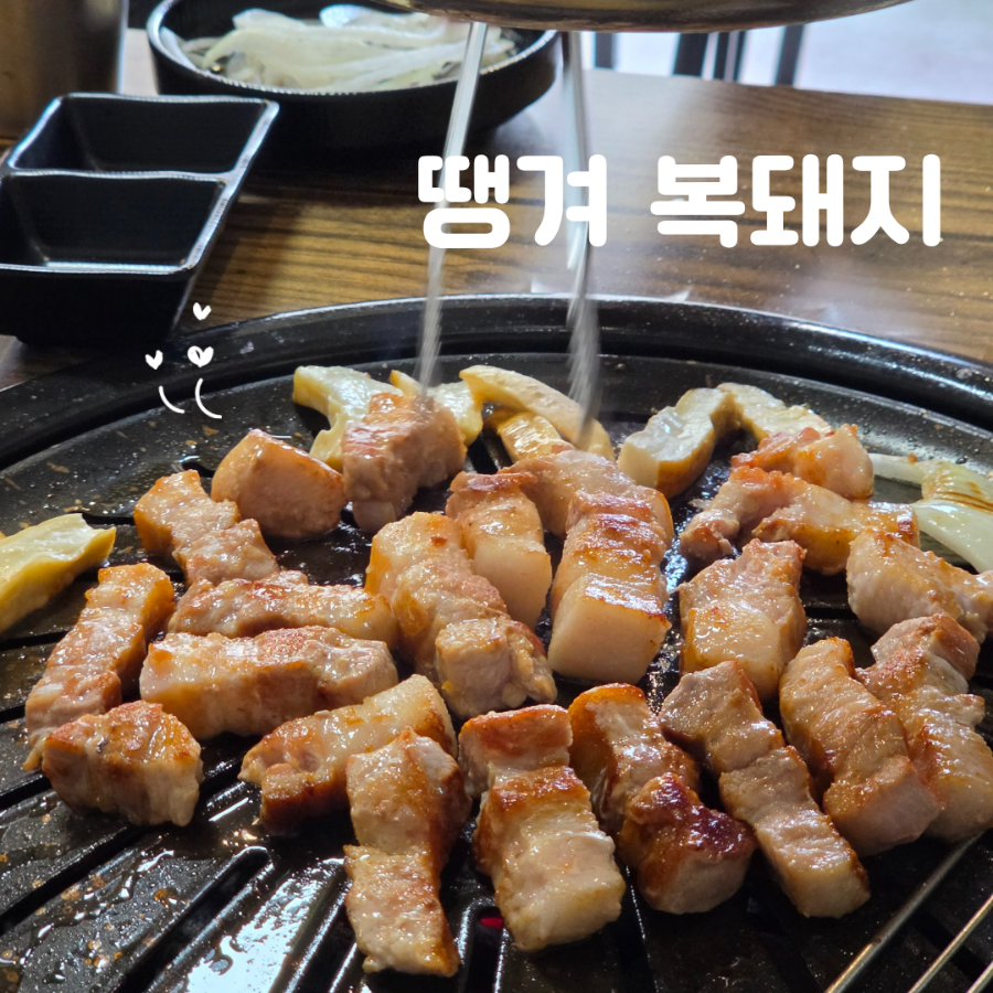 땡겨복돼지 사진 1
