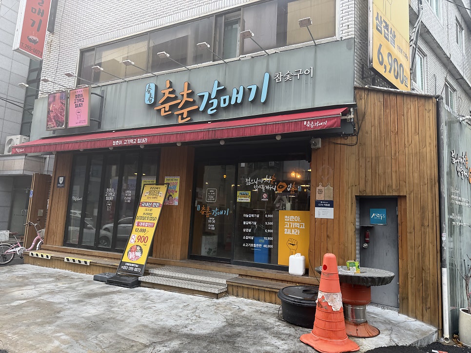 춘춘갈매기 사진 3
