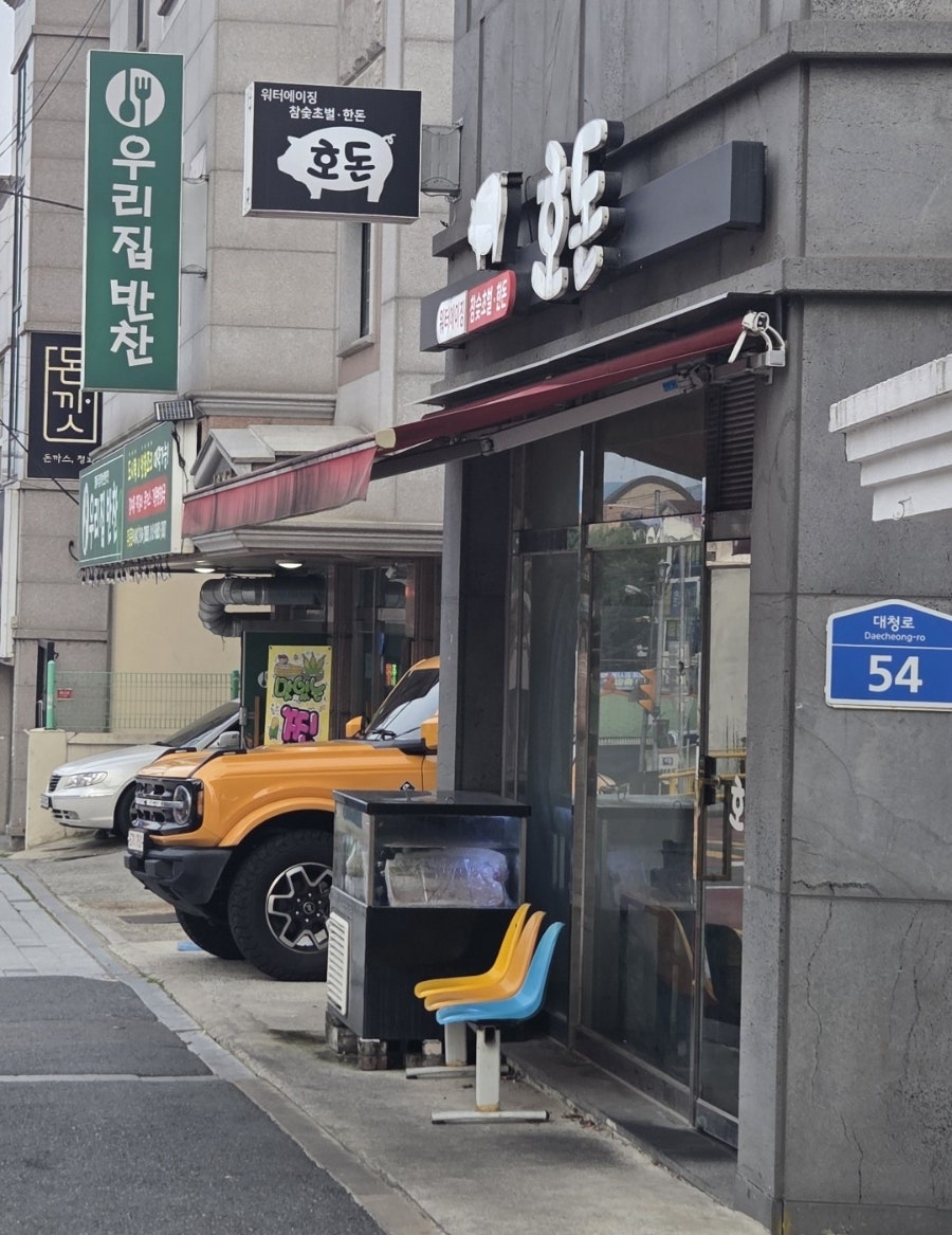 호돈 사진 5