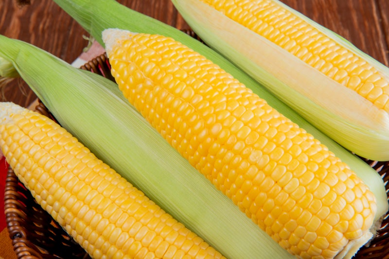 옥수수 삶는 시간 및 맛있게 옥수수 찌는법