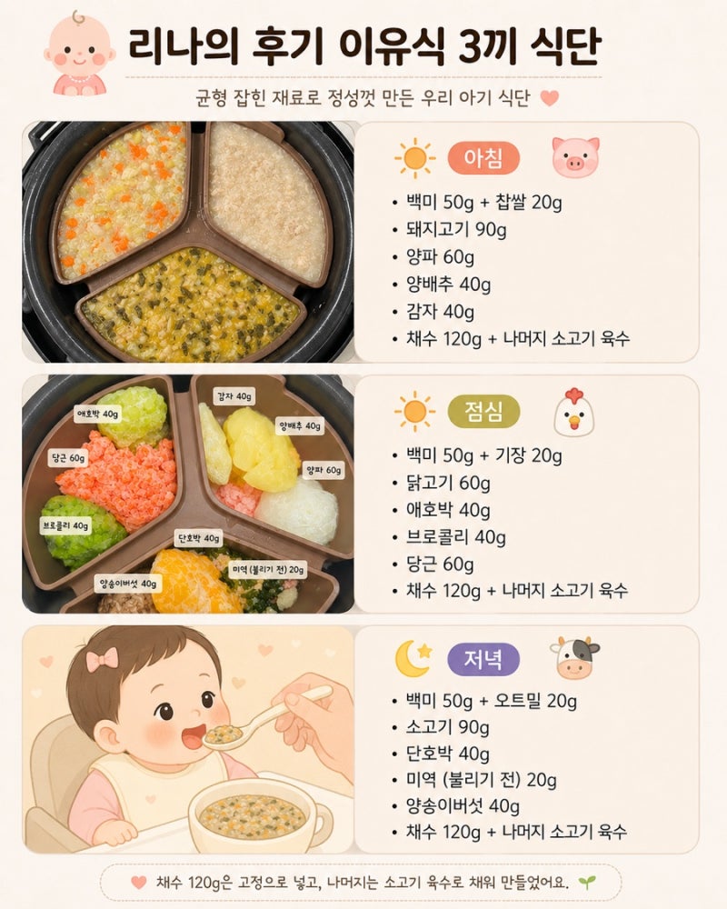 8개월 아기 후기 이유식, 밥솥 이유식 만들기｜초보 엄마의 3끼 식단 기록