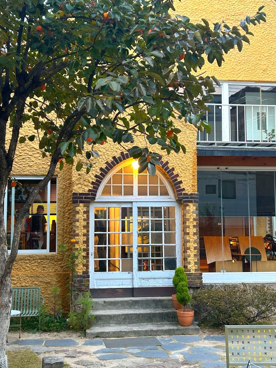 킷테 사진 4