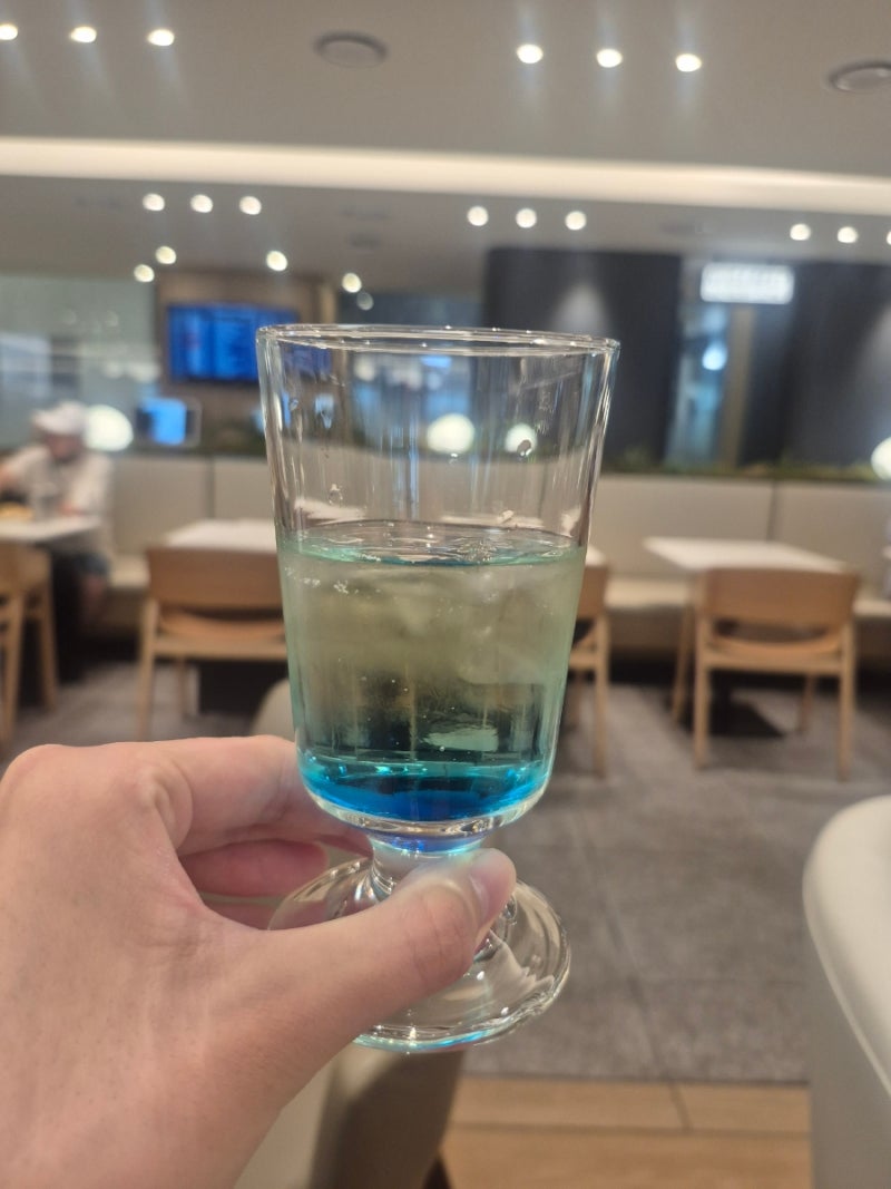 신한 쏠SOL 트래블카드로 무료 이용한 인천공항 스카이허브라운지 서편 후기