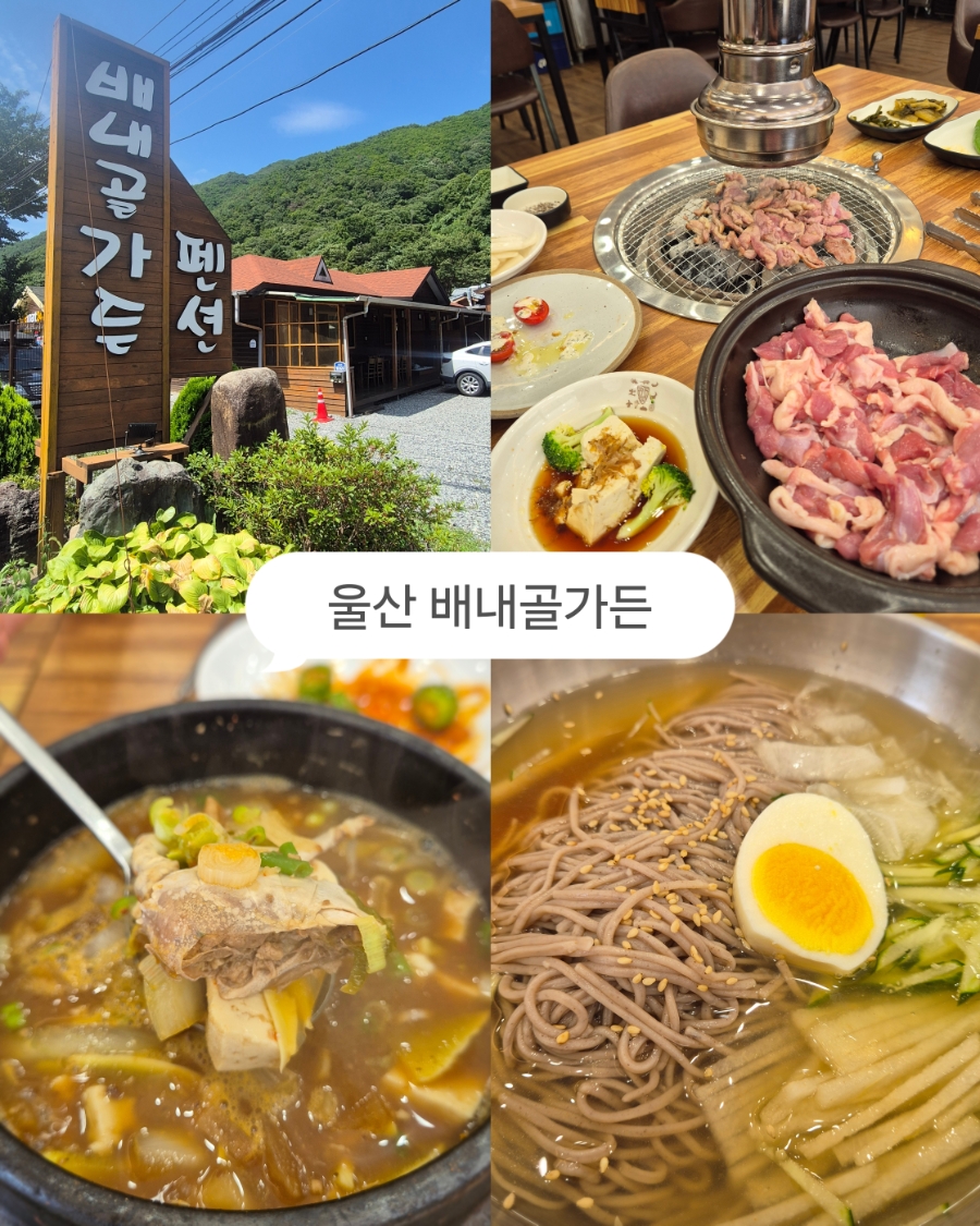 배내골가든펜션 사진 1
