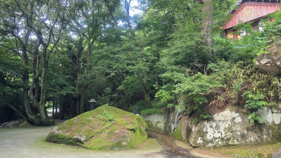 무등산국립공원 사진 6
