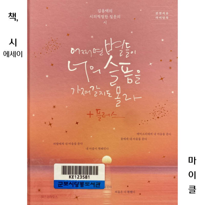 어쩌면 별들이 너의 슬픔을 가져갈지도 몰라+플러스 독후감｜김용택 시인이 들려주는 위로