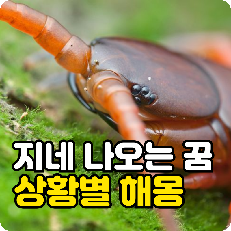 지네 나오는 꿈 길몽일까? 왕지네 크기와 상황별 정확한 해몽 모음