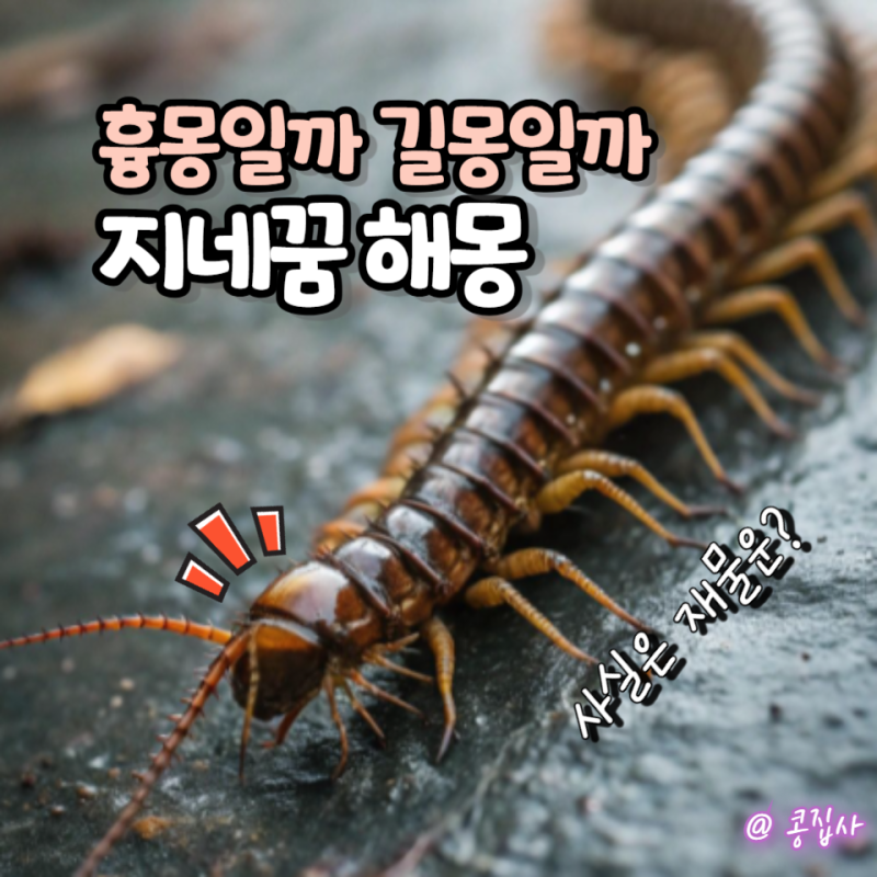 지네 나오는 꿈 흉몽일까 길몽일까, 상황별 꿈해몽 총정리