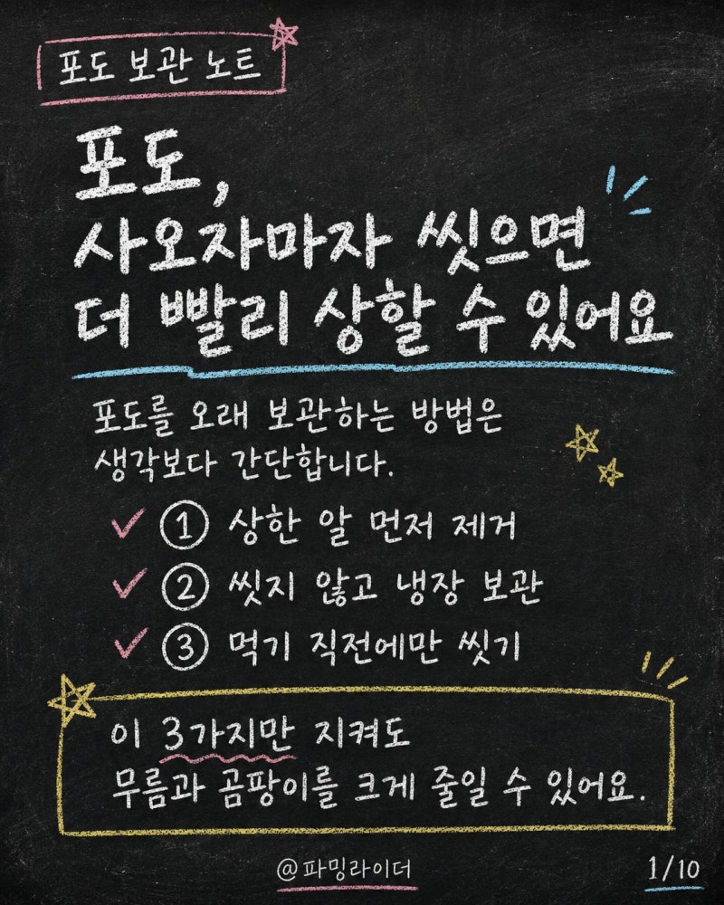 포도 보관법, 사오자마자 씻으면 더 빨리 상할까요?