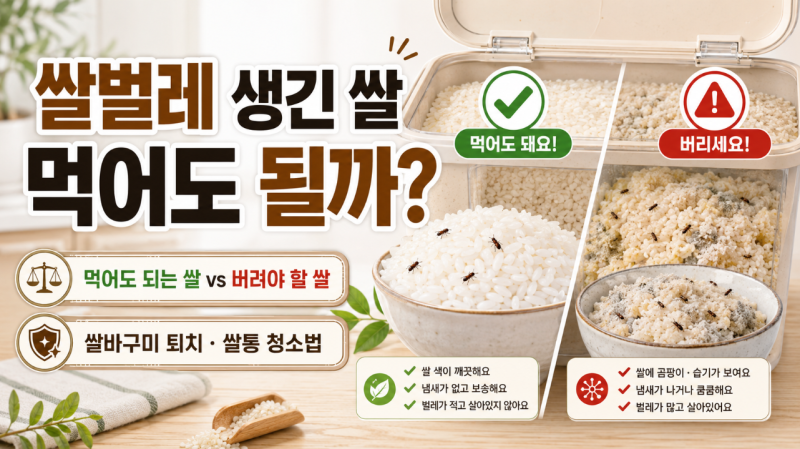 쌀벌레 생긴 쌀 먹어도 될까? 쌀바구미 퇴치 및 쌀통 청소법
