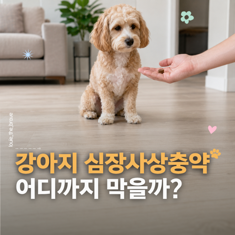 강아지 심장사상충약 넥스가드 스펙트라, 예방 범위와 부작용