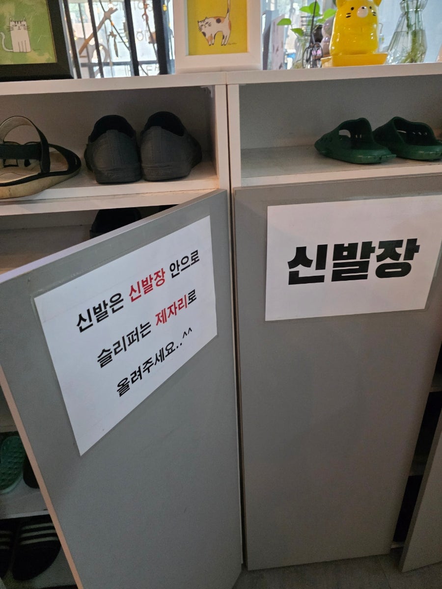 삼층고양이 사진 3
