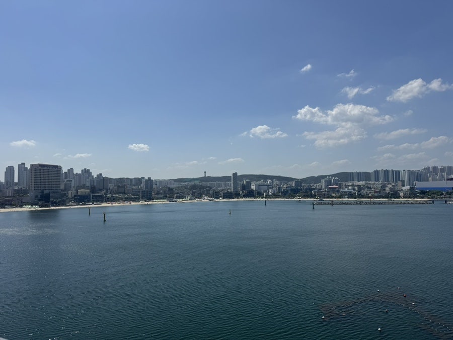 신천쭈꾸미 사진 5