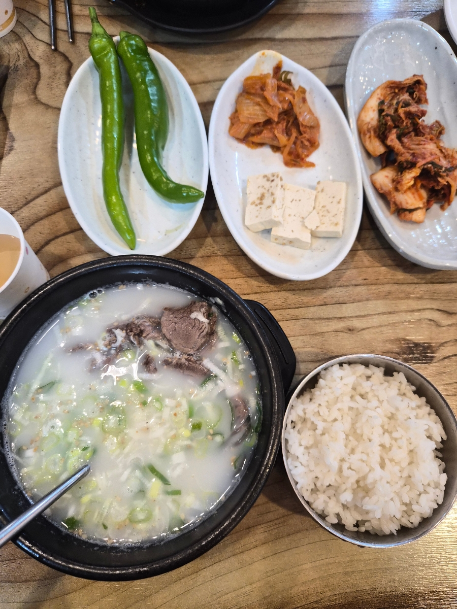 빛고을 사진 6