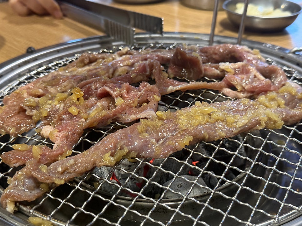춘춘갈매기 사진 1