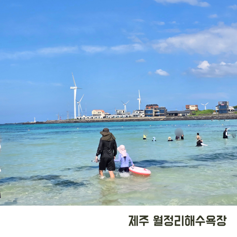 제주도 동쪽 물놀이 월정리해수욕장 샤워장 대여 아이와 가볼만한곳