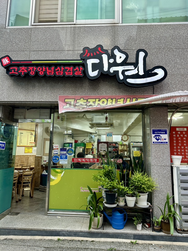 다원 사진 2