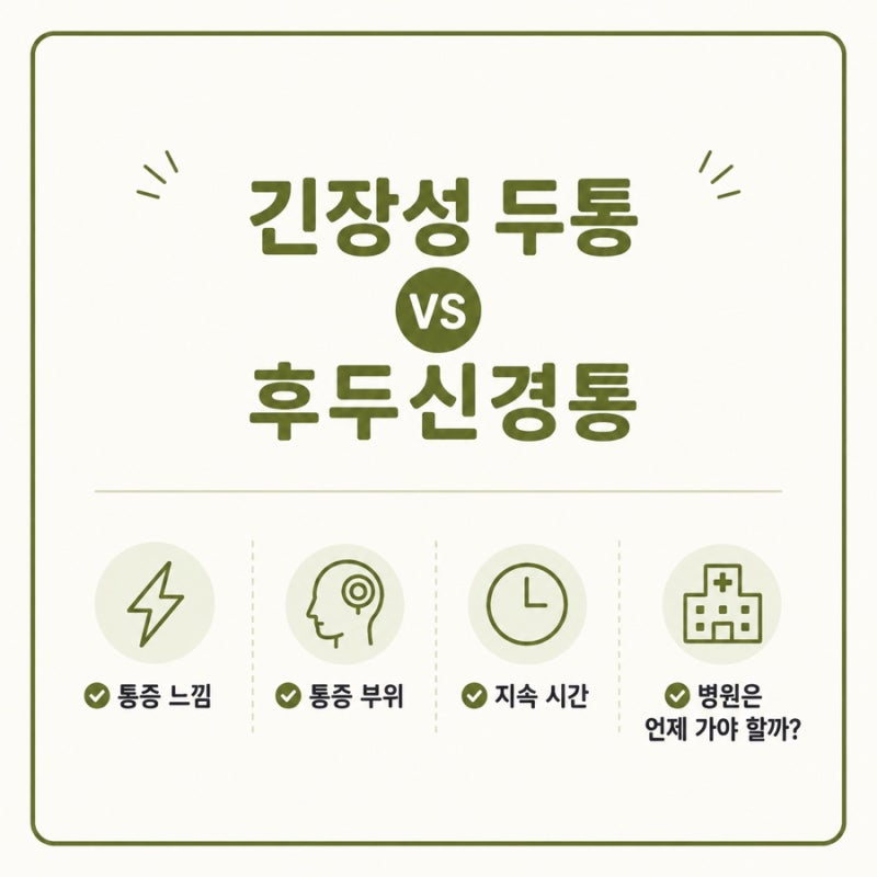 머리가 찌릿찌릿? 왼쪽 관자놀이·귀 옆 통증, 신경통일까? 병원은 언제 가야 할까