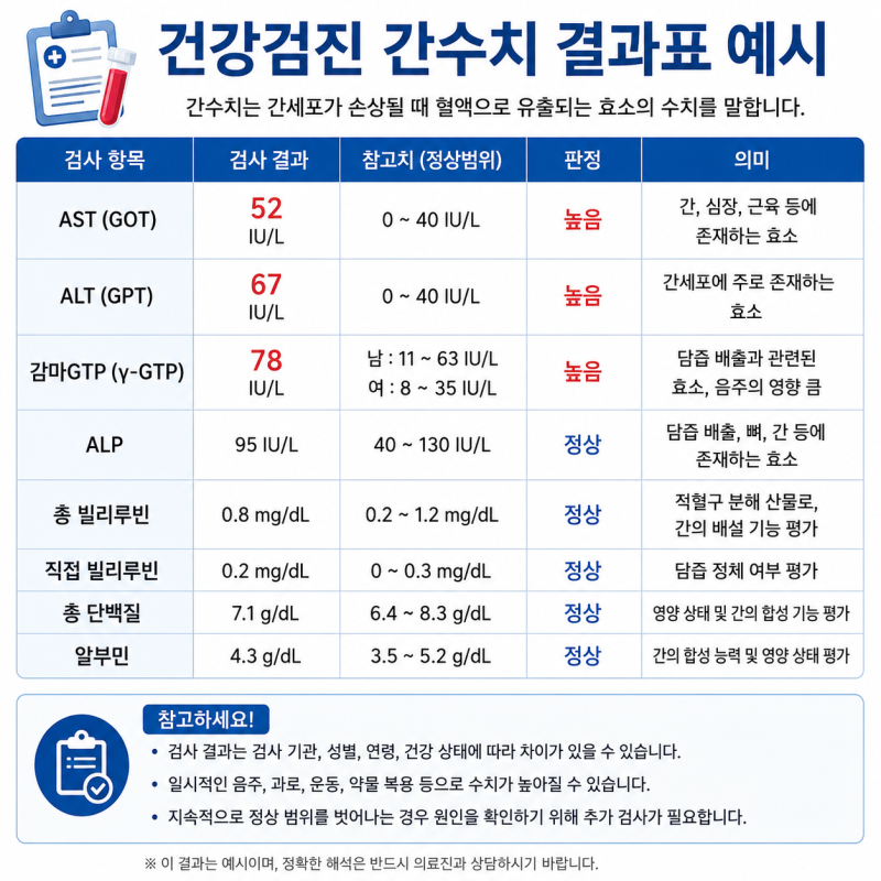 건강검진 간수치 AST·ALT·감마GTP 높으면? 정상수치와 재검 기준 총정리