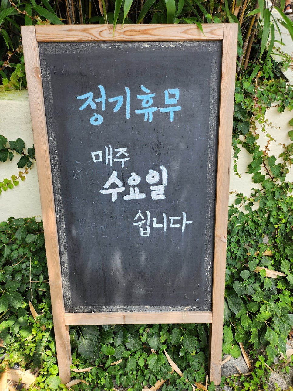 민들레 사진 6