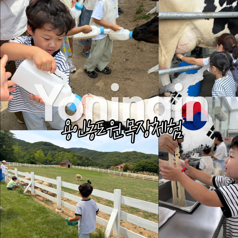 용인 농도원 근교 아이랑 가볼만한 곳 목장 체험