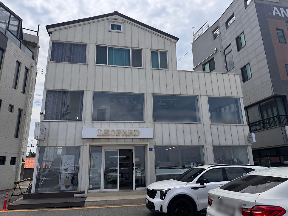 레오파드 사진 1